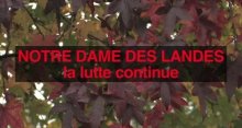 Notre-Dame-des-Landes : la lutte continue